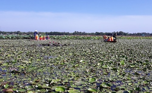 Du lịch trãi nghiệm bằng ghe trên Sông Đầm