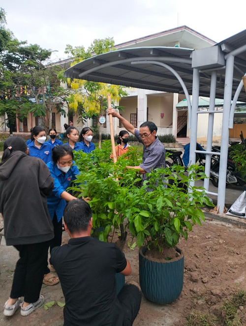 Công trình tường rào Hoa Hoàng Yến